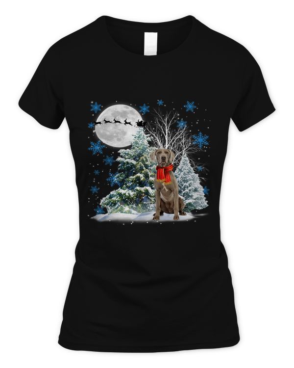 Women's Soft Style Fitted T-Shirt