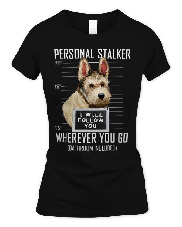Women's Soft Style Fitted T-Shirt