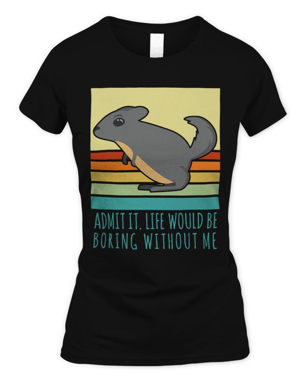 Women's Soft Style Fitted T-Shirt