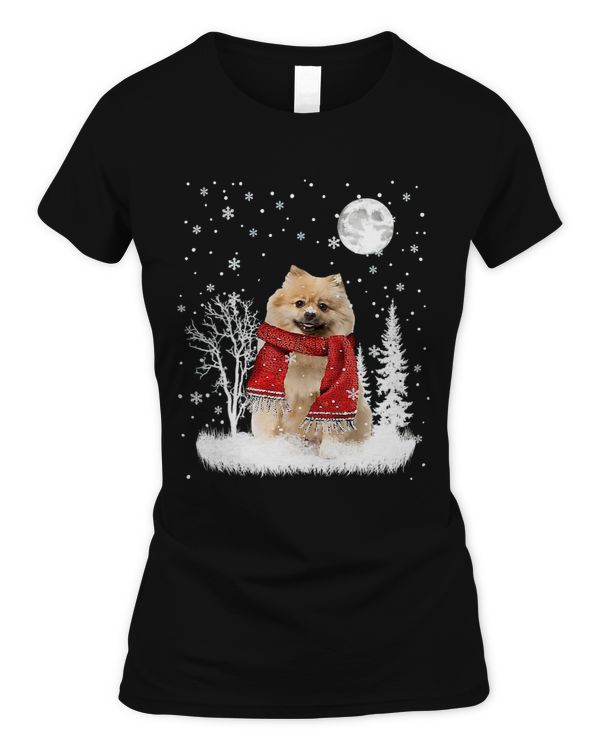 Women's Soft Style Fitted T-Shirt
