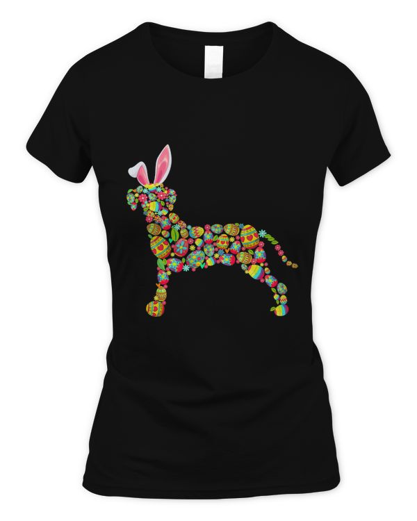 Women's Soft Style Fitted T-Shirt