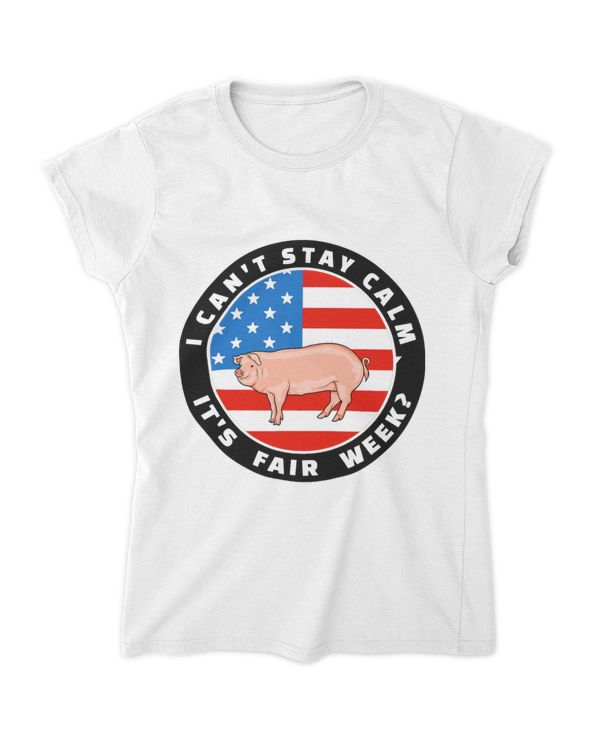 Women's Soft Style Fitted T-Shirt