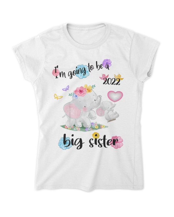 Women's Soft Style Fitted T-Shirt