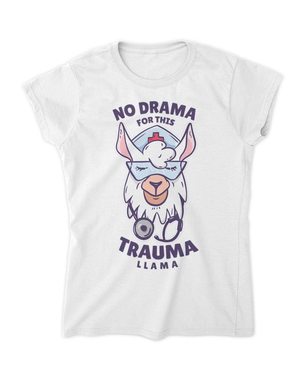 Women's Soft Style Fitted T-Shirt