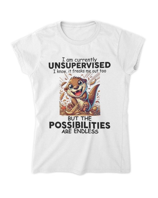 Women's Soft Style Fitted T-Shirt