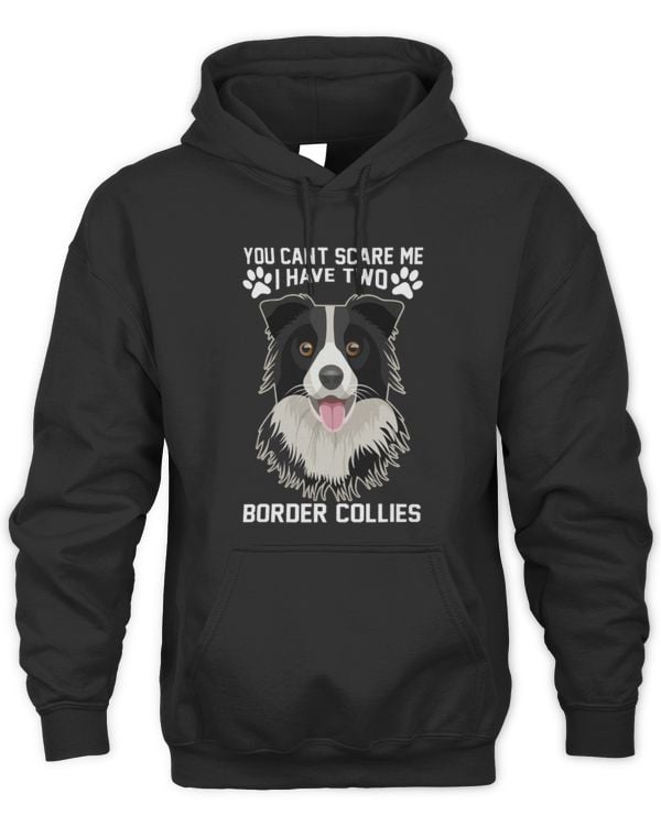 Cute Border Collie I have two Border Collie 2