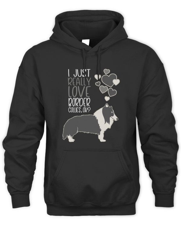 Cute Border Collie I Just Really Love Border Collies