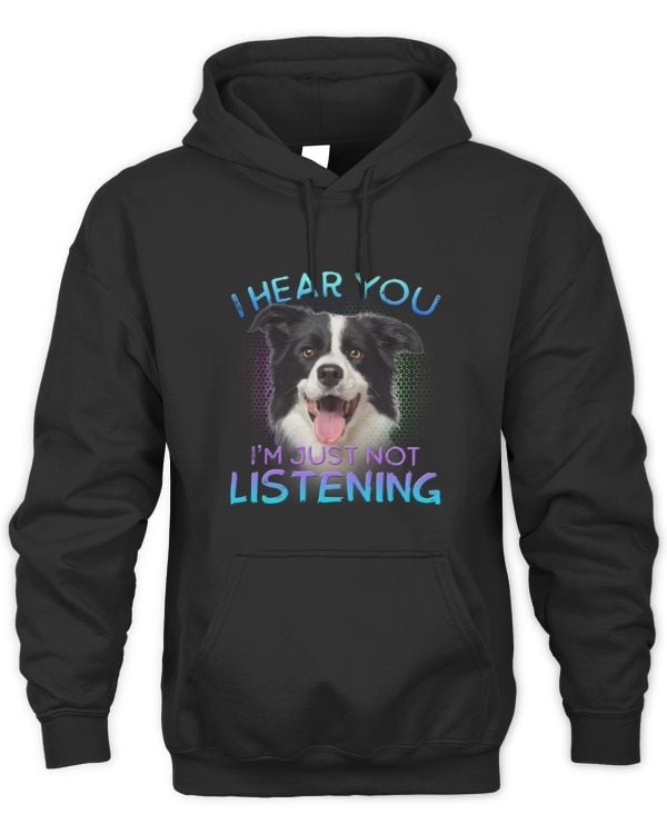 Cute Border Collie I hear you not listening 4