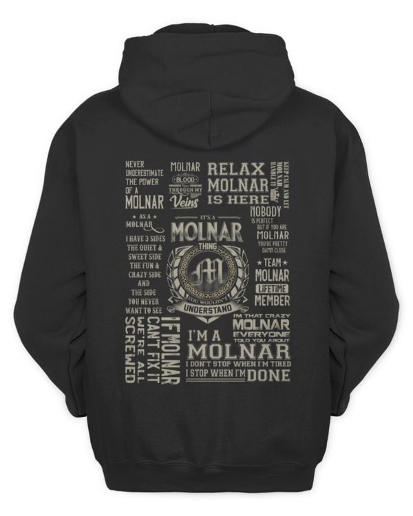 Fbus02912 Molnar H45