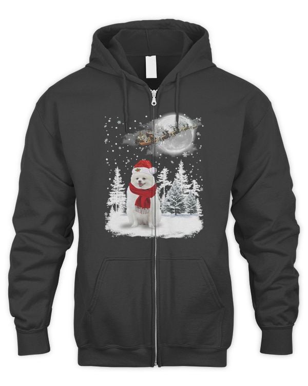 Men's Zip Hoodie