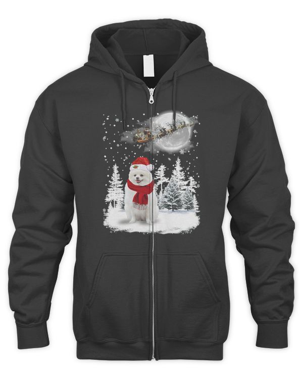 Men's Zip Hoodie