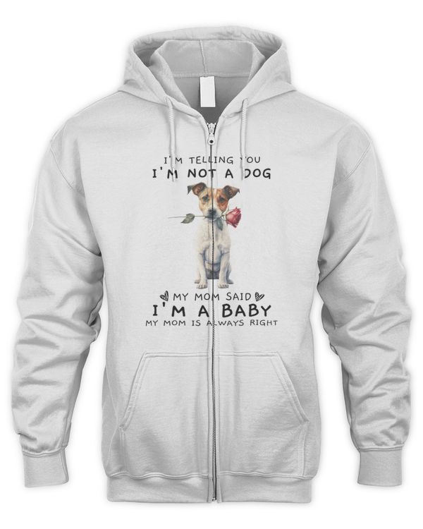 Men's Zip Hoodie