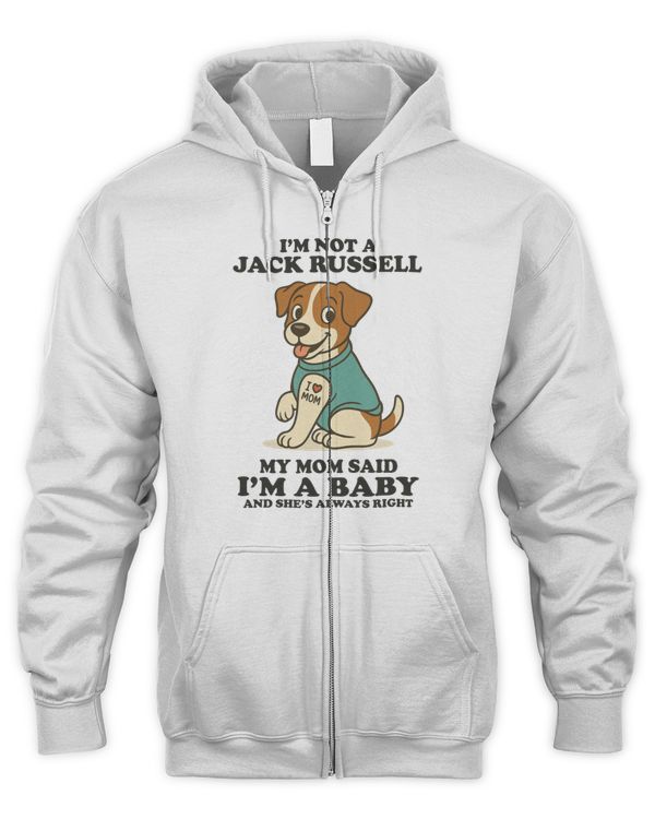 Men's Zip Hoodie
