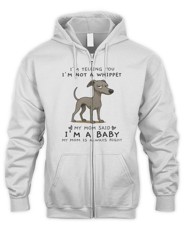 Men's Zip Hoodie