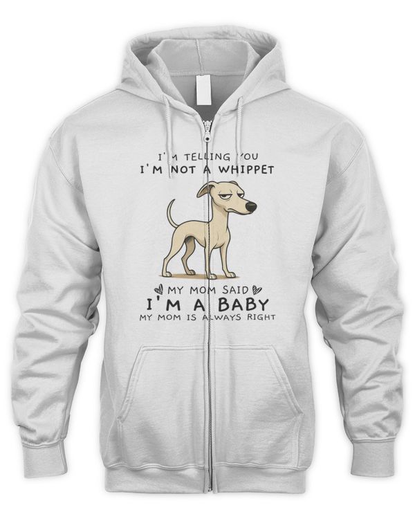 Men's Zip Hoodie