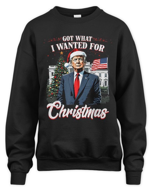 Got What I Wanted For Christmas