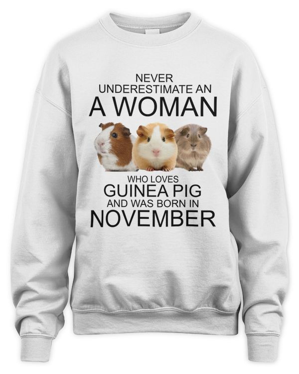 Never underestimate an a woman who loves guinea pig an was born in November