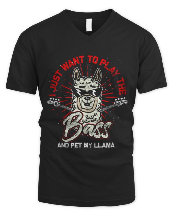 Men's V-Neck T-Shirt