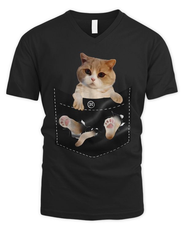 Men's V-Neck T-Shirt