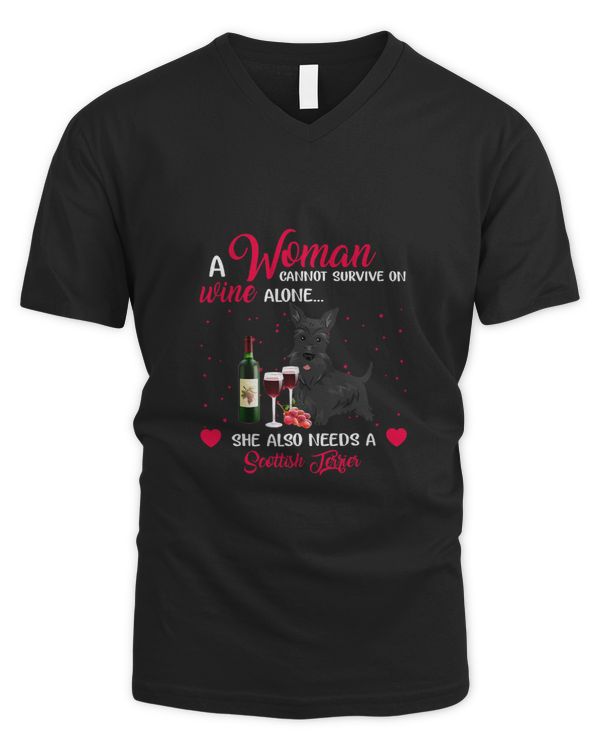 Men's V-Neck T-Shirt