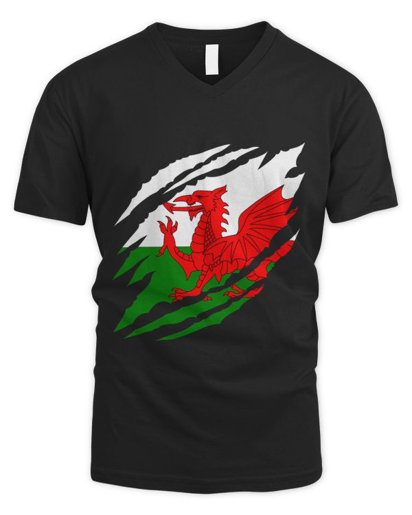 Men's V-Neck T-Shirt