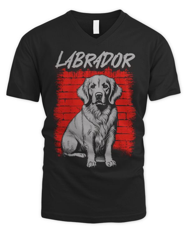 Men's V-Neck T-Shirt