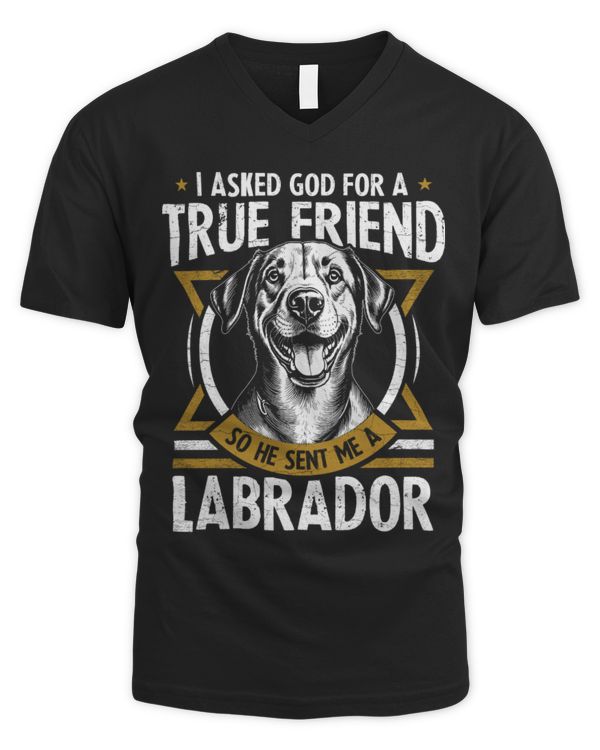 Men's V-Neck T-Shirt