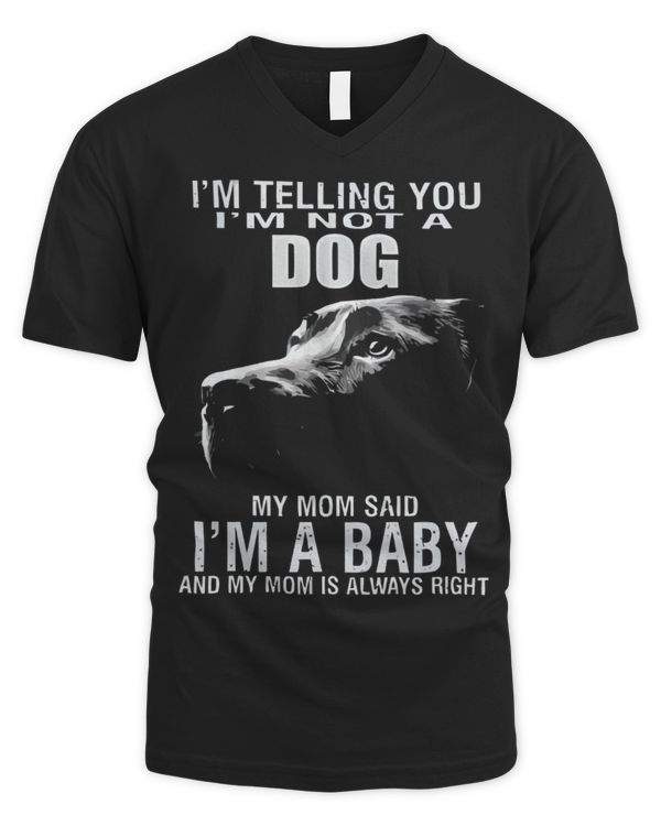 Men's V-Neck T-Shirt