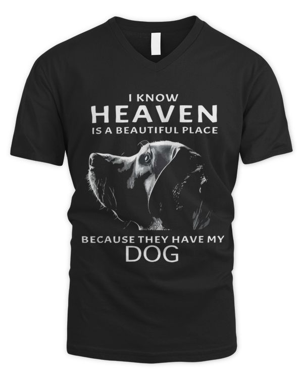 Men's V-Neck T-Shirt