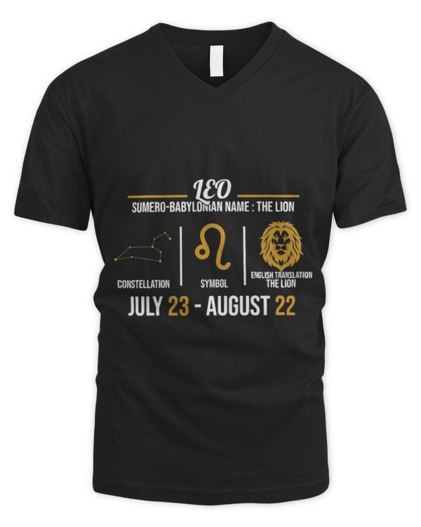 Men's V-Neck T-Shirt