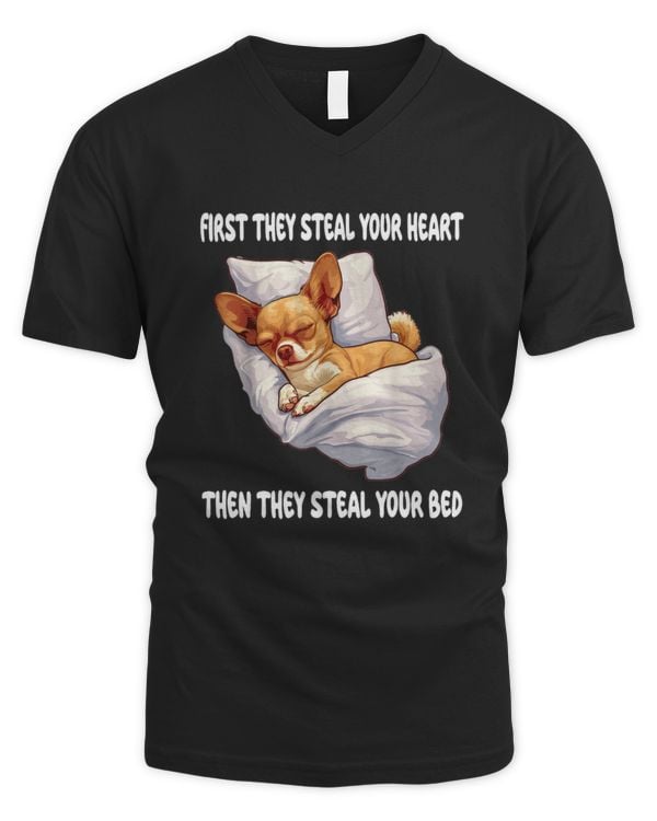 Men's V-Neck T-Shirt