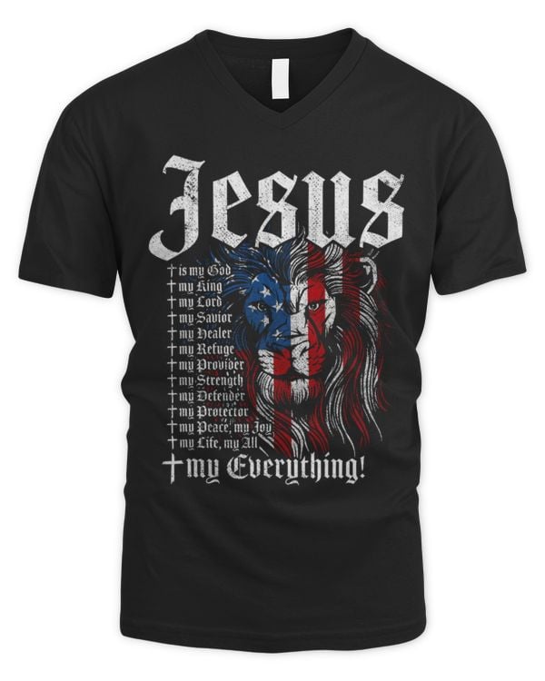 Men's V-Neck T-Shirt