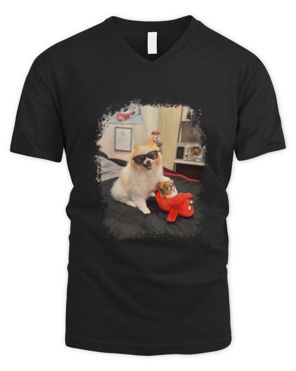 Men's V-Neck T-Shirt