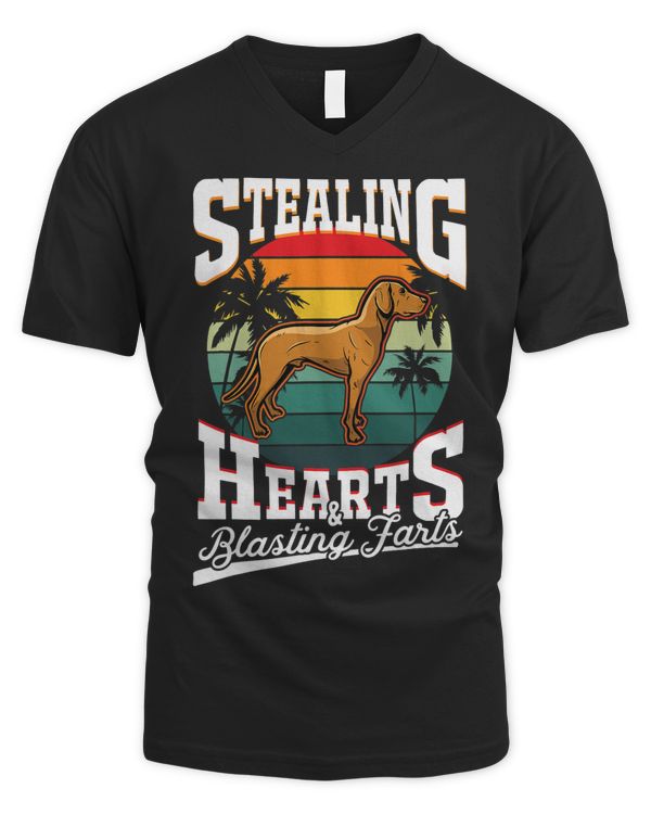 Men's V-Neck T-Shirt