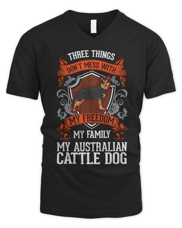 Men's V-Neck T-Shirt