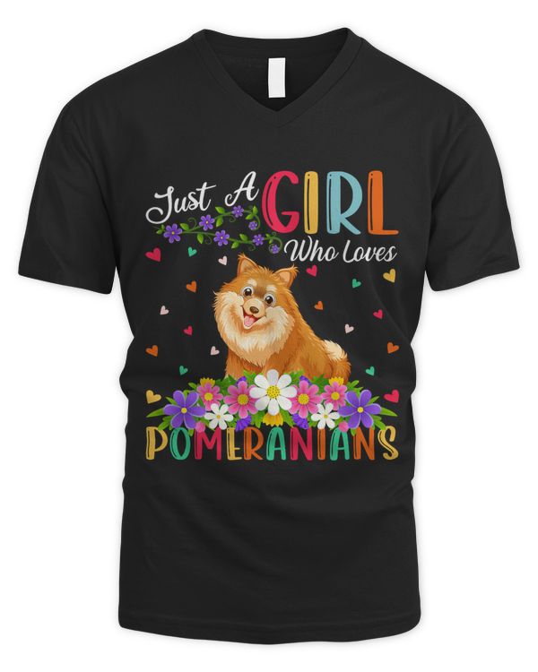 Men's V-Neck T-Shirt