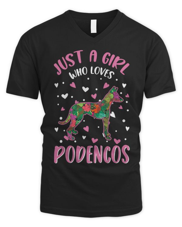 Men's V-Neck T-Shirt