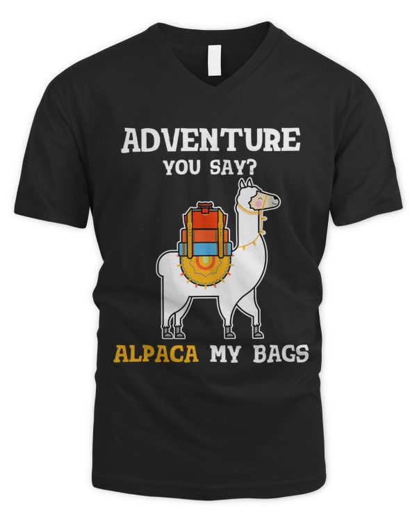 Men's V-Neck T-Shirt