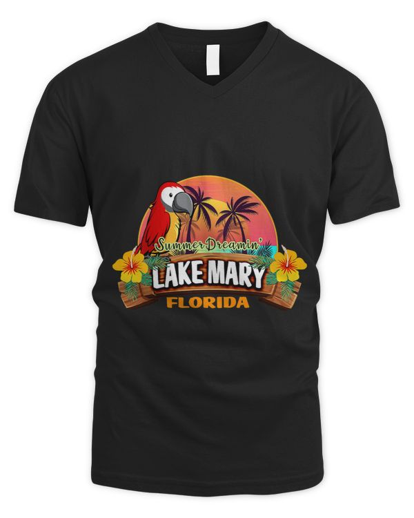 Men's V-Neck T-Shirt