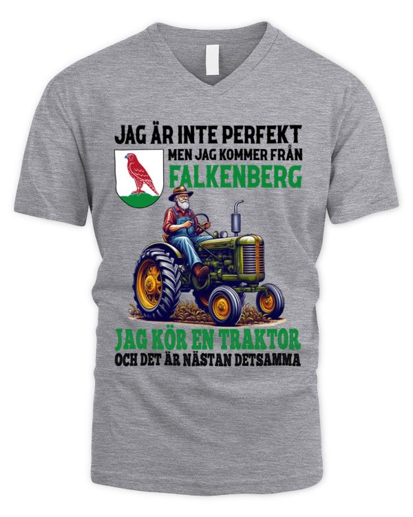 Men's V-Neck T-Shirt