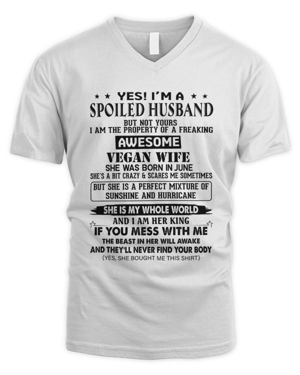 Men's V-Neck T-Shirt