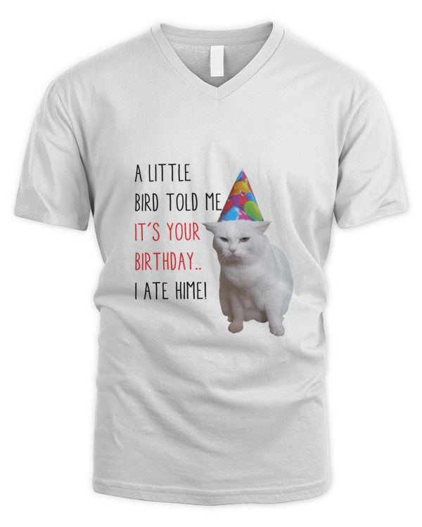 Men's V-Neck T-Shirt