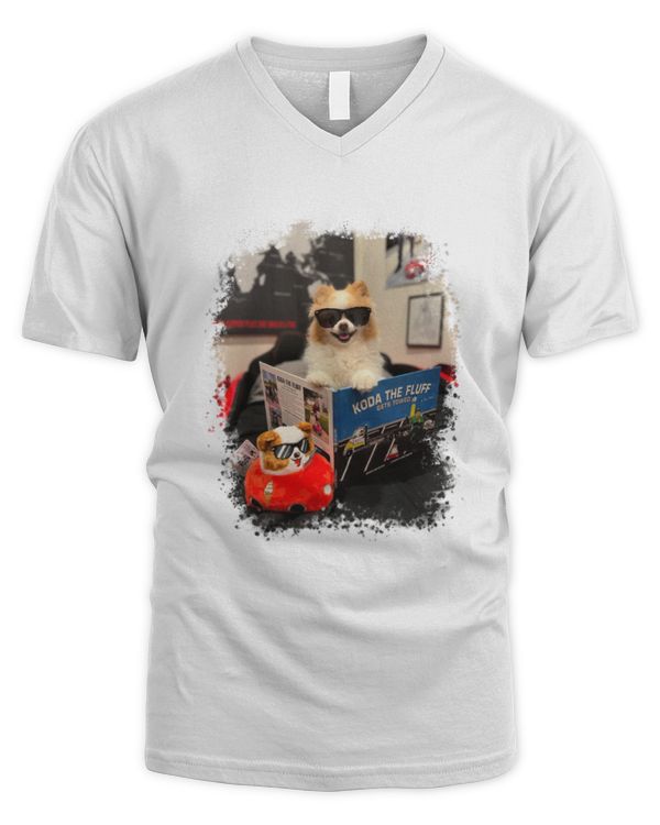 Men's V-Neck T-Shirt