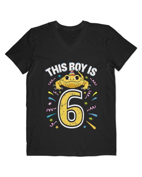 Men's V-Neck T-Shirt