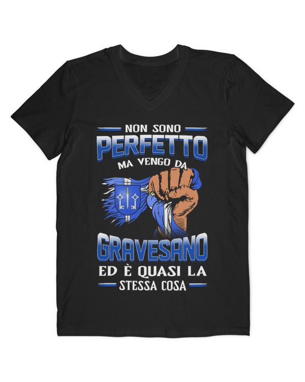 Men's V-Neck T-Shirt