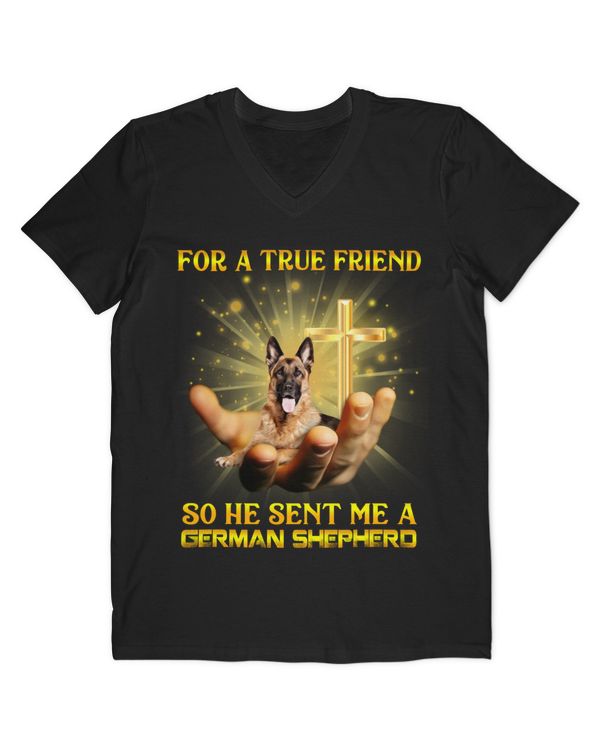 Men's V-Neck T-Shirt