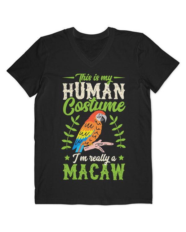 Men's V-Neck T-Shirt