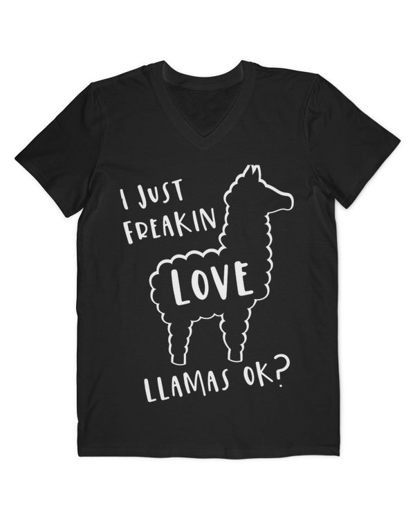 Men's V-Neck T-Shirt