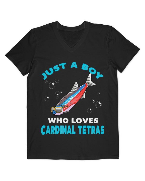 Men's V-Neck T-Shirt