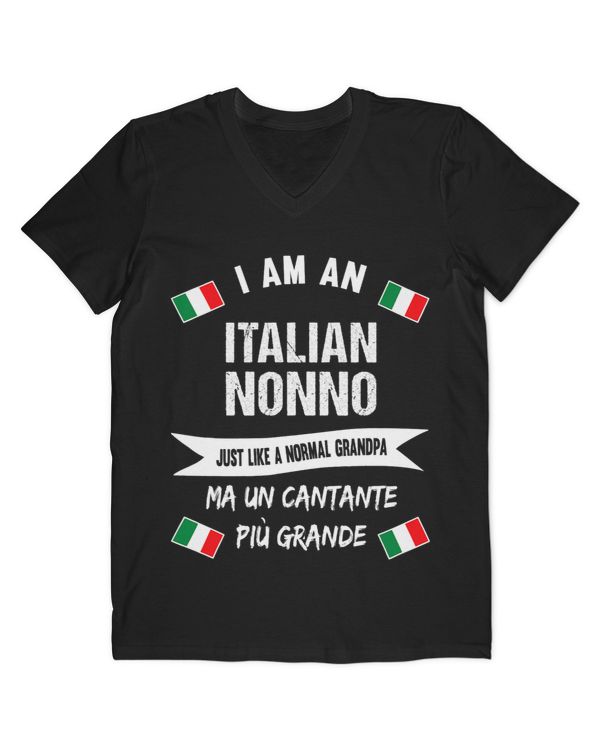 Men's V-Neck T-Shirt